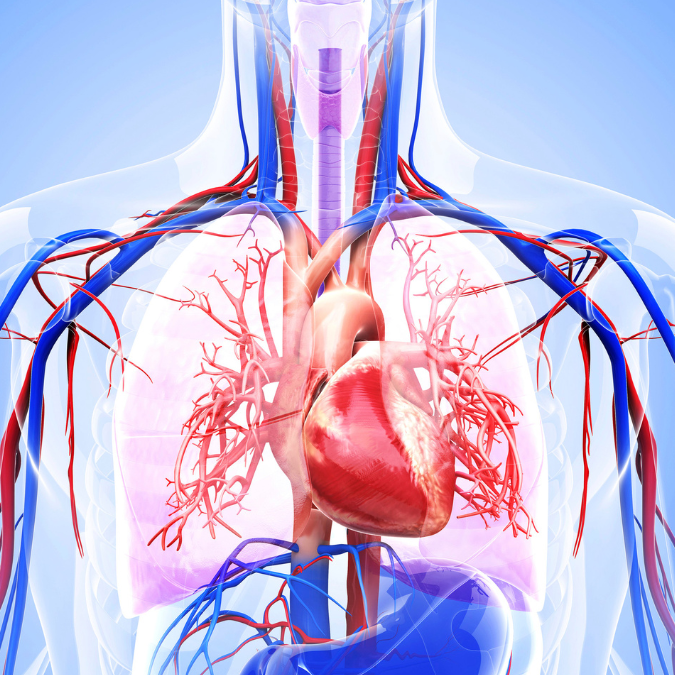 website images - square (1)